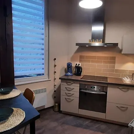Le Rohan Apartament Colmar